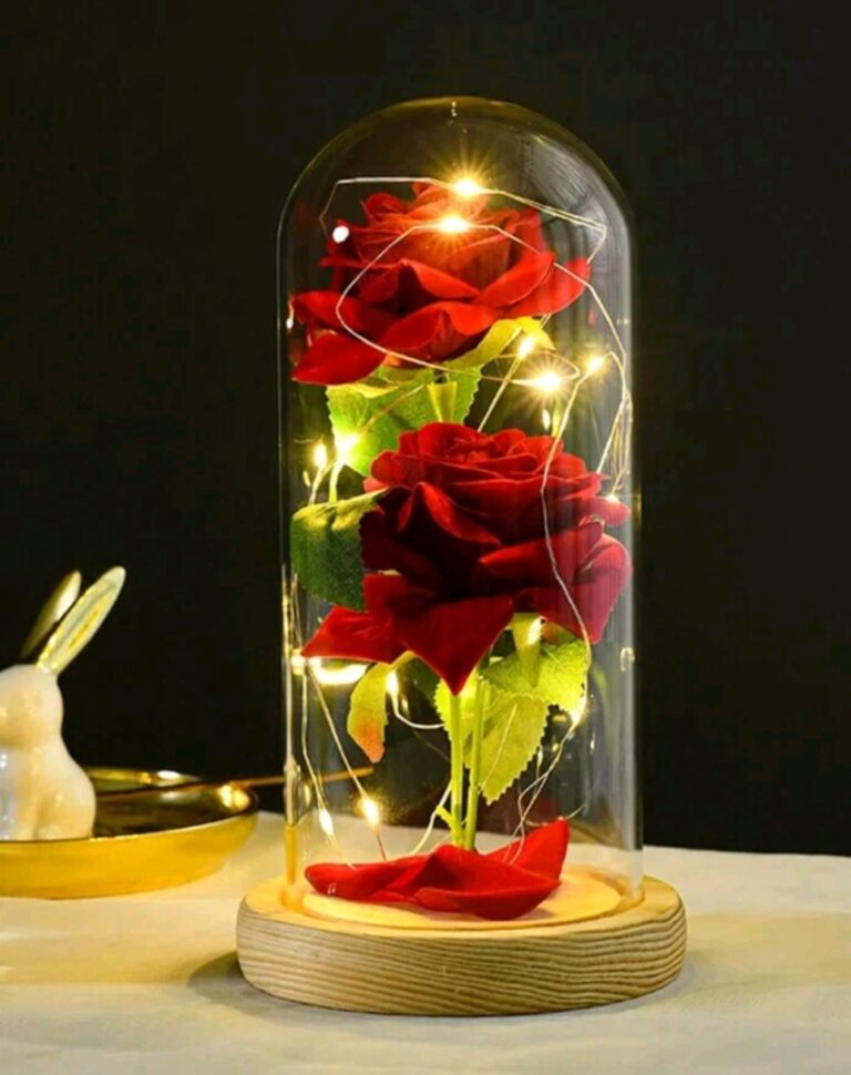 Rose préservée et Illuminées