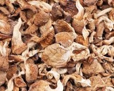 Champigonns séché – Image 3