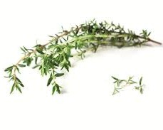 Thym Séché – Image 4