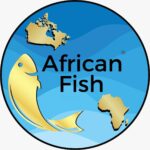 African Fish