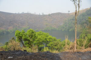 Association des Baleng du Canada