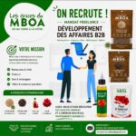 🌶️ MANDAT FREELANCE – DÉVELOPPEMENT DES AFFAIRES B2B | QUÉBEC