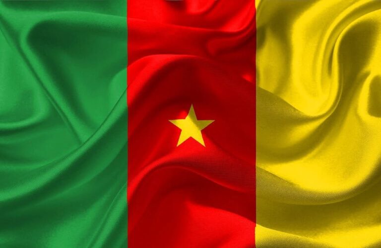Association des Étudiants Camerounais de Trois-Rivières (AECUQTR)