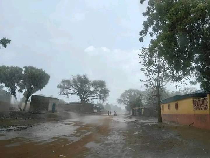 Mayo kebbi Est: la ville de Bongor vient d&rsquo;enregistrer une pluie .