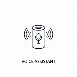 Voice assistants (Amazon Echo, Google Home)