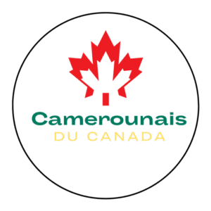 Ce que je mets en place pour mes clients