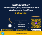 Coordonnateur(trice) administration et développement des affaires